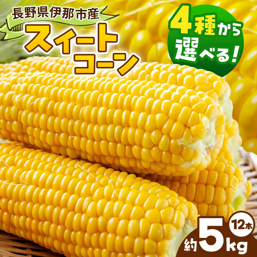【ふるさと納税】 とうもろこし 伊那市産 スイートコーン 約5kg 2Lサイズ 12本入り 選べる品種 サニーショコラ おひさまコーン 恵味 ゴールドラッシュ 伊那市 長野県 ふるさと納税