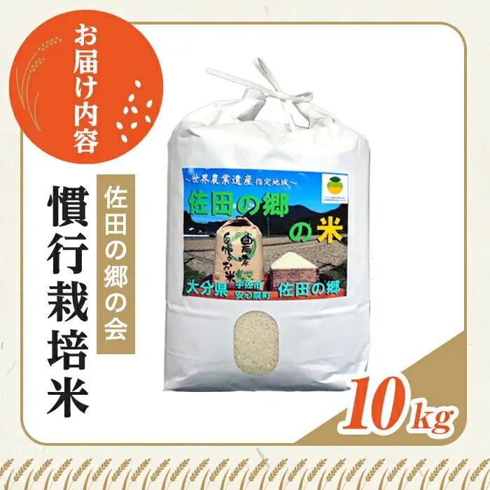 ＜令和7年産＞佐田の郷の米 慣行栽培米(10kg) お米 白米 ごはん ヒノヒカリ ひのひかり ブランド米 常温 常温保存【111700204】【雅設置プロジェクト　佐田の郷の会】