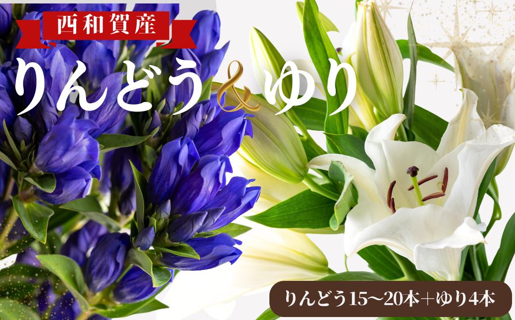 
                  入荷【受付9月中迄】高原ふれあい産直　西和賀りんどう ＆ ゆり セット（2） （りんどう 15〜20本 ＋ ゆり 4本）
                