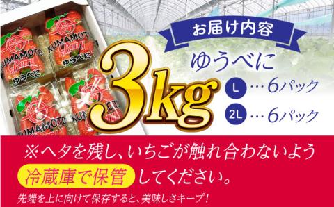 【先行予約】大粒いちご L～2L ゆうべに 3kg（計12pc）【熊本ベリー】フルーツ 果物 くだもの いちご イチゴ 苺 ゆうべに 大粒いちご 国産 熊本県産 九州産 [ZER003]