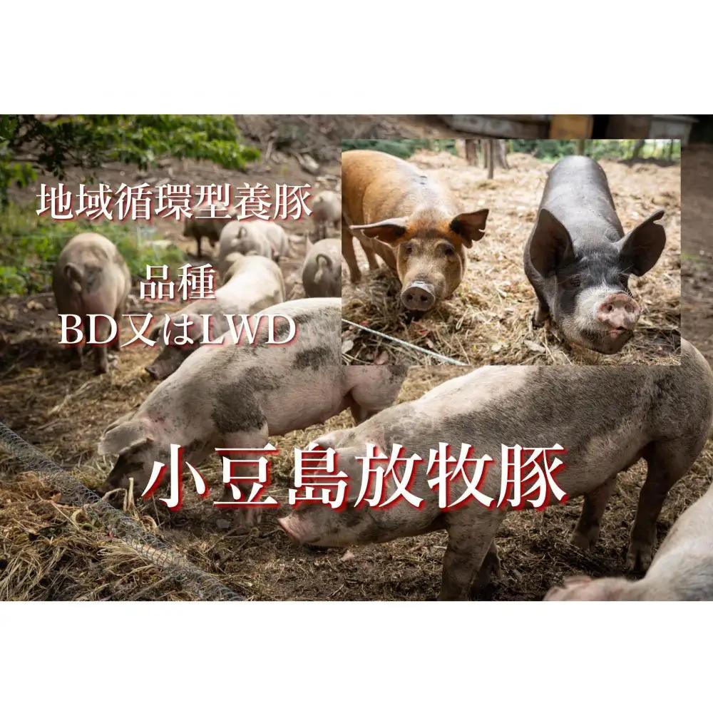 小豆島放牧豚の生ハム (小豆島発酵紅腿)スライスパック30g×2
