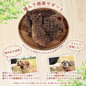 ドッグフード 牛肉ジャーキー 200g(100g×2袋) おやつ 犬用 無添加 無着色 国内製造 自然食品 ペット ペット ペット ペット ペット ペット KT046