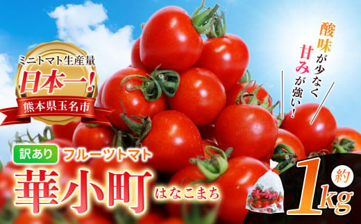 訳あり フルーツトマト 華小町 はなこまち 1kg | 野菜 やさい トマト ミニトマト プチトマト ミディトマト 中玉 小玉 中粒 小粒 大小混合 玉名 熊本 とまと