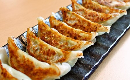 米の娘ぶたを使用した「米の娘ぎょうざ」(20g×48個) 餃子 ギョウザ 生餃子 焼き餃子 水餃子 豚肉 ブランド豚 ニラ 冷凍  金山町 F4B-0220