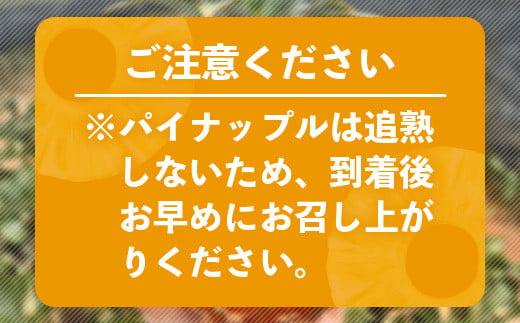 ＜期間限定 春フェア＞《2026年4月～6月発送》お試し用 石垣島産 完熟 スナックパイン 2玉 約1.4kg | パイン パイナップル ボゴール 沖縄 石垣島 石垣 八重山 期間限定 数量限定 産地