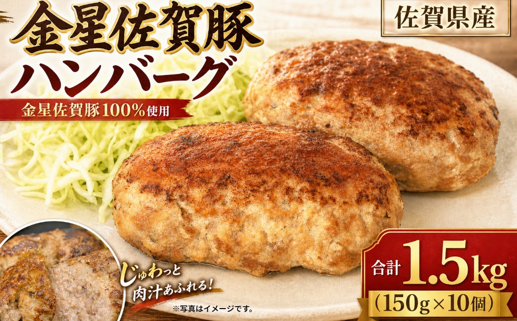 
OA-6 金星佐賀豚　ハンバーグ150g 　10個セット
