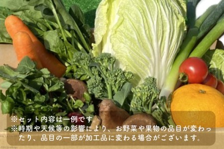 雲仙 季節の採れたてお野菜セット 7～8品目 / 九州きばる / 長崎県 雲仙市 [item0928] 野菜 セット 旬 詰め合わせ 産地直送 食べ比べ