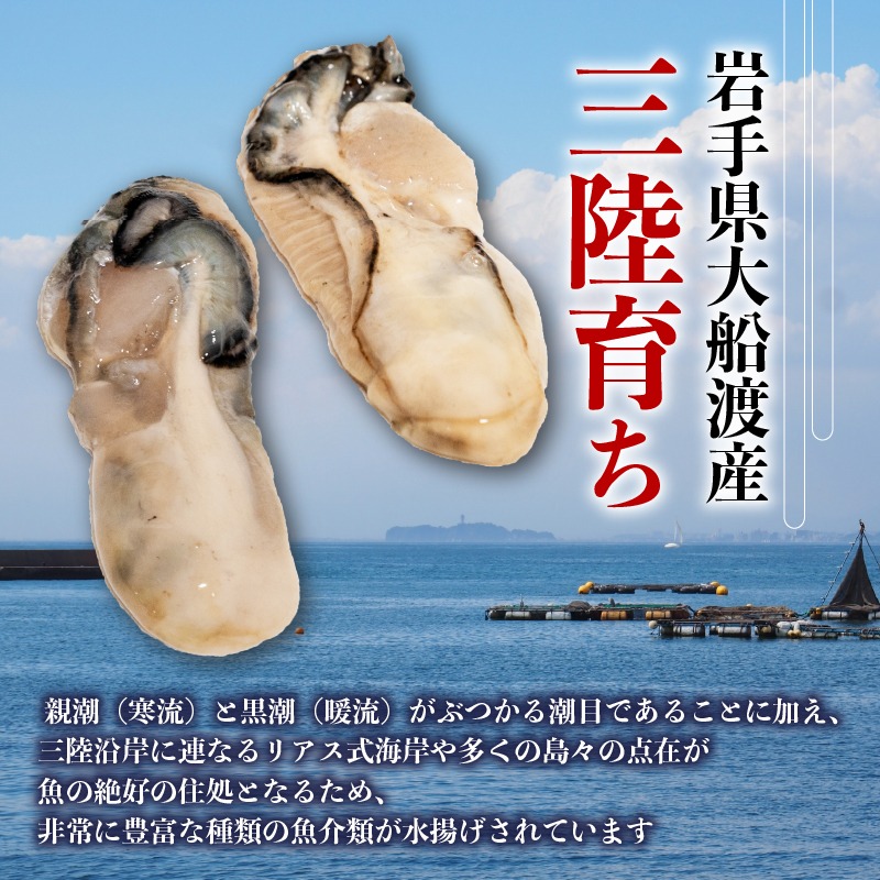 訳あり 牡蠣 むき身 加熱用 1kg 冷凍 かき 牡蠣 カキ オイスター oyster アヒージョ バーベキュー BBQ フライ 揚げ物 鍋 ごはん 夕飯 おかず おつまみ 晩酌 米 丼 海産物 海鮮 魚介 魚介類 贈答品 お中元 お歳暮 大船渡 三陸 岩手県 国産 