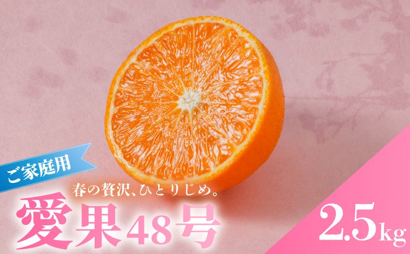 
                  国産 愛果48号 家庭用 約2.5kg 【2027年3月上旬頃から順次発送】 | 日本 あいか 新品種 国産 日本 紅まどんな × 甘平 紅プリンセス と同品種 みかん ワケアリ 訳あり B品 柑橘 果物 おすすめ 高級 人気 お取り寄せ グルメ ギフト 期間 ご当地 愛媛県 松山市 蓮果園
                