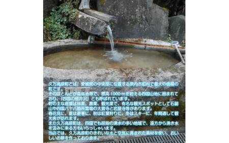 丸餅約700g(16個)1個約40g～45g【無添加】【つき餅】お祝い お供え 自宅用 ※着日指定不可 ※離島への配送不可