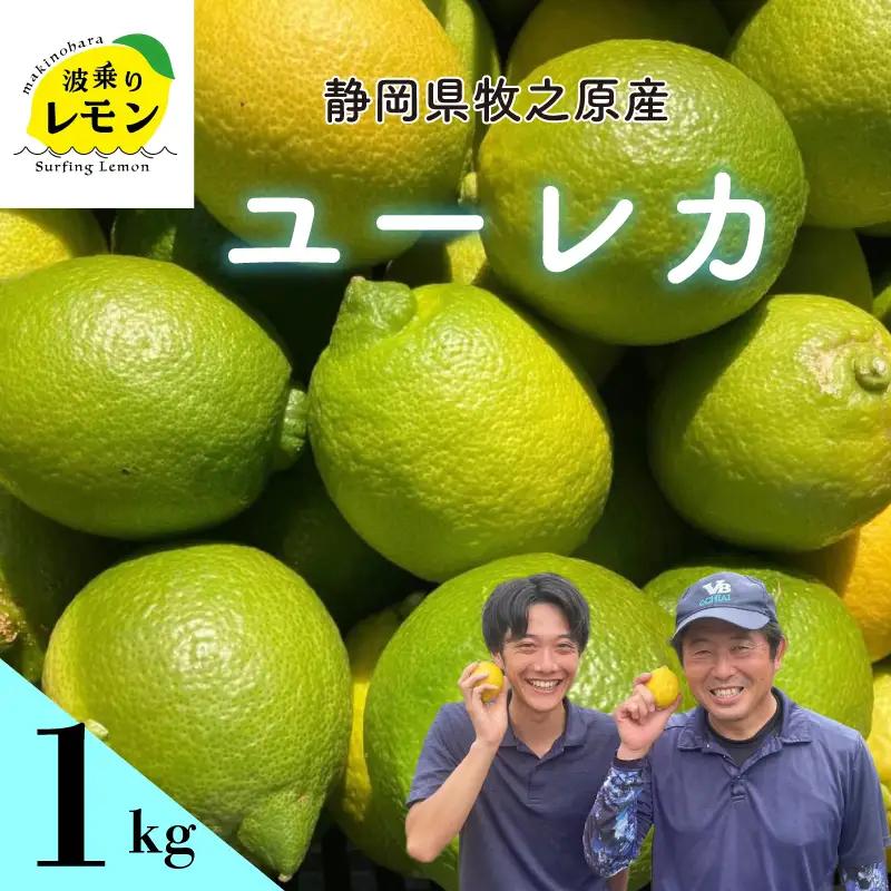 【期間限定】檸檬  ユーレカ 1kg  レモン 檸檬