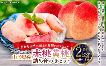 園主が愛情を注ぎ込んだ 桃 （赤桃・黃桃） 詰め合わせ 約2kg （6～11玉） 山形県産 果物 くだもの 夏果実 フルーツ 【2026年8月発送予定】