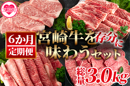 ＜【定期便6か月】宮崎牛を存分に味わうセット 総量3.0kg＞柔らかくきめ細かい肉質と適度な霜降りの入った美味しい牛肉でステーキ、すき焼き、焼肉、BBQをご堪能下さい！【MI231-nh】【日本ハムマーケティング株式会社】