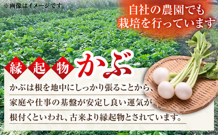 かぶら巻き（25個入）/ かぶ つけもの 漬物 / 亀山市 / 六花[AMBQ003]