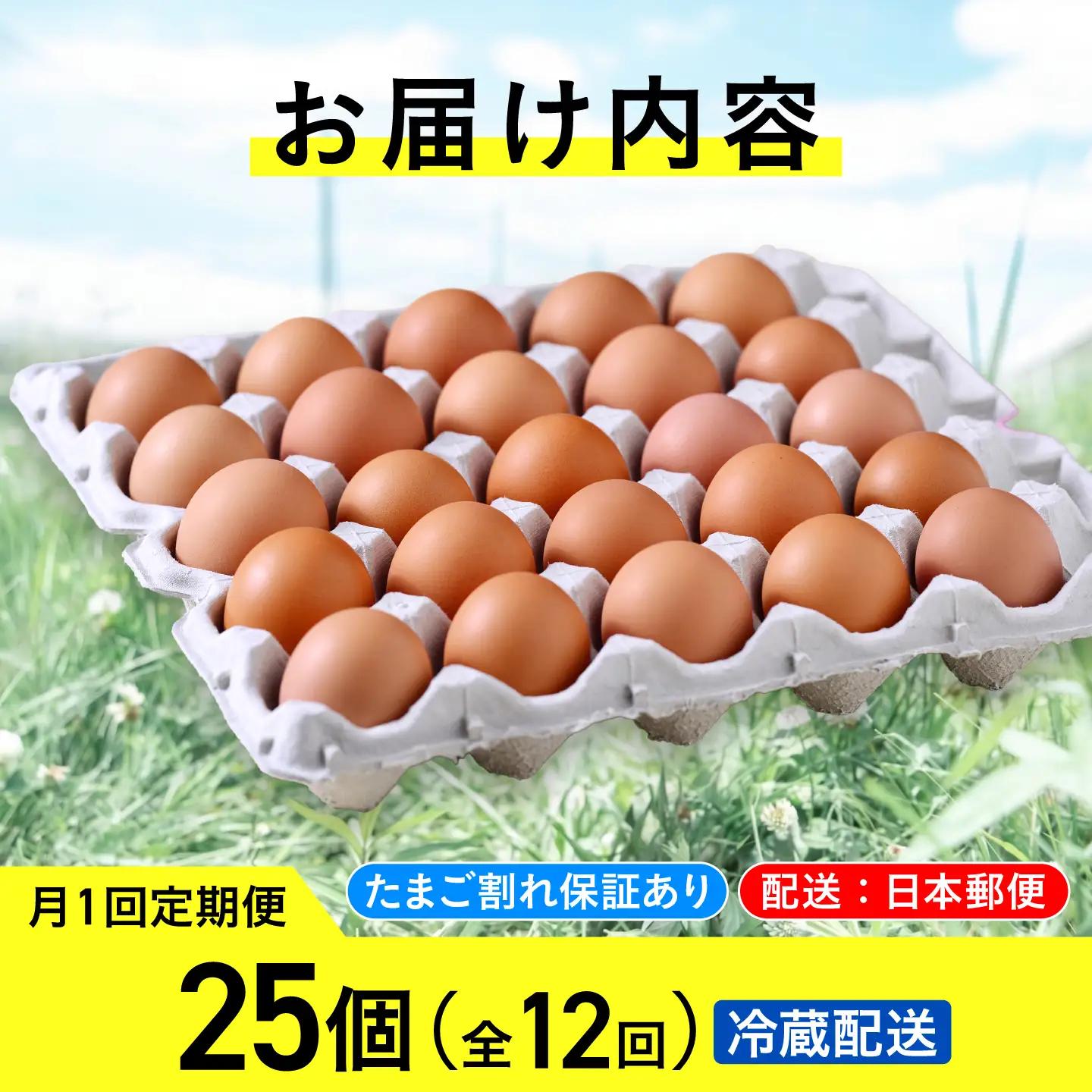 【卵 定期便 12ヵ月】たまご 平飼い 有精卵 25個 冷蔵 [AXAN006]