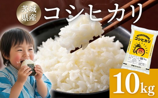
                  【発送月が選べる】米 10kg 令和7年産 茨城県産 コシヒカリ ｜ 一等米 精米 人気 発送月 選べる 白米 お米 白米 こしひかり コシヒカリ10kg コメ こめ ブランド米 R7年産 茨城県 常総市 茨城県常総市産 年末年始 お中元 お歳暮 内祝い 快気祝い
                