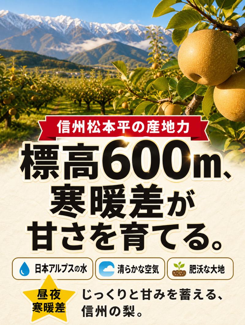～清流と高原の風が育む、信州の香りと甘み～　　