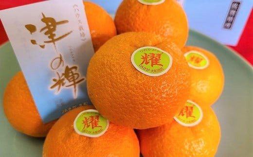 外皮が薄く瑞々しい食感。佐賀県で大切に育てられたブランドみかんです。