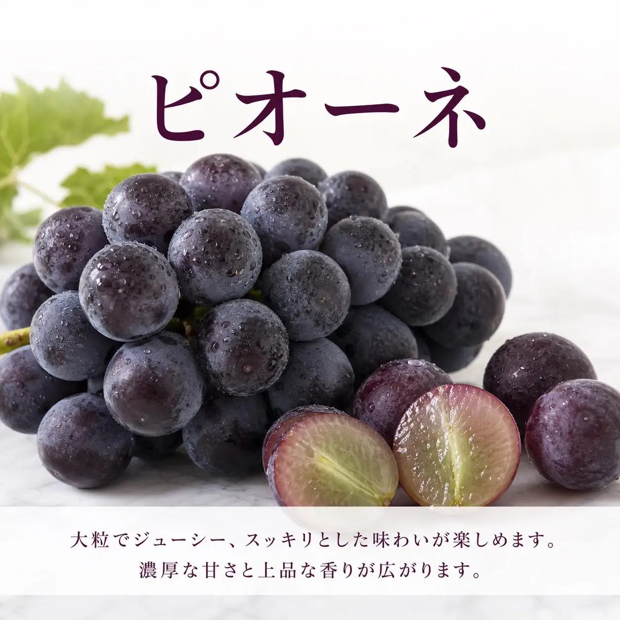定期便【全3回/7・8・9月】紀州和歌山旬のフルーツ定期便 (桃・梨・ピオーネ)【tkb424】