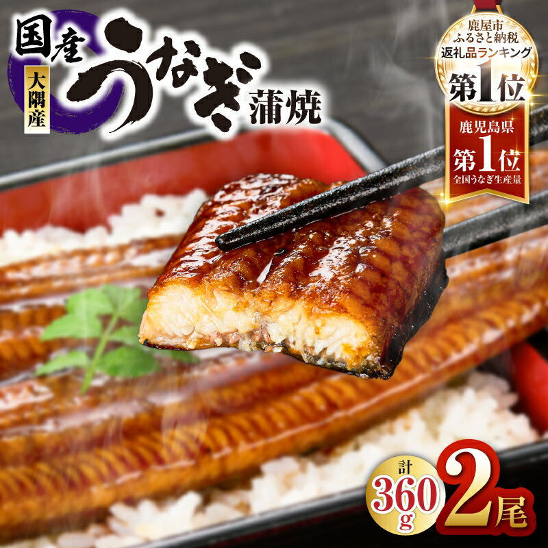 【ふるさと納税】鹿児島県大隅産うなぎ蒲焼2尾（計360g） 真空 冷凍 うなぎ 蒲焼 鹿児島 丑の日【大隅地区養まん漁業協同組合】