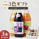 【ふるさと納税】大江の恵 3色ギフト（山ブドウ原液、ラフランス、紅玉各1000ml）