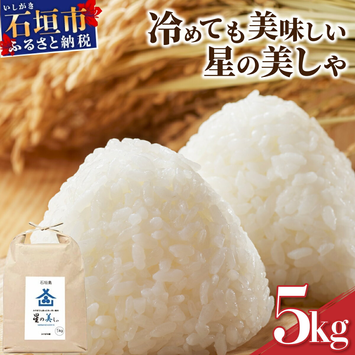 【ふるさと納税】石垣島産 星の美しゃ (ほしのかいしゃ) 5kg みやぎ米屋 | 日本一早い新米の産地 お米 こめ コメ 産地直送 旬 ほしじるし 沖縄県 石垣市 送料無料