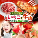 【ふるさと納税】【先行予約】【全4回定期便】産地直送！白石町産 いちごと牛肉の定期便 イチゴ 苺 果物 フルーツ お肉 肉 ハンバーグ 切り落とし [IZZ019]