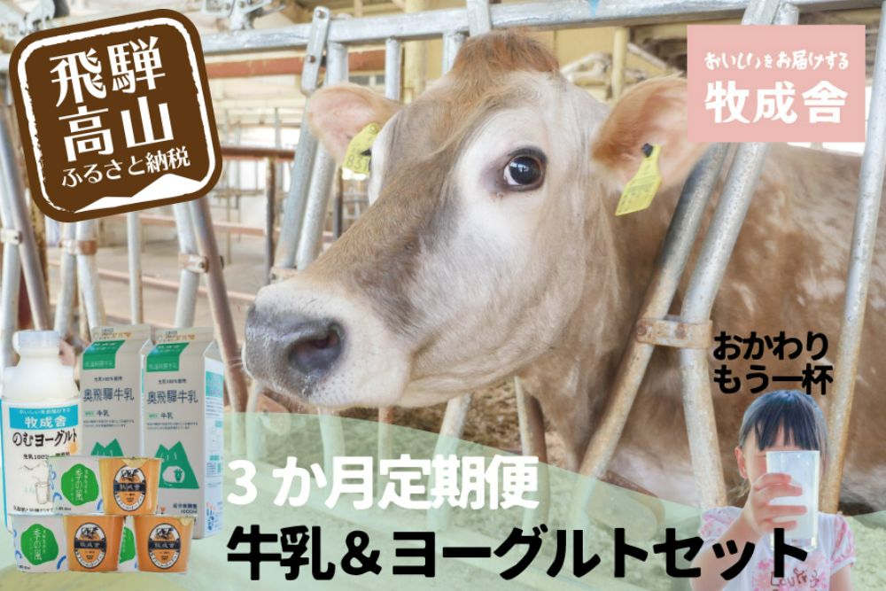 ＜牧成舎＞ 定期便3回 飛騨の牛乳屋のこだわり 牛乳＆ヨーグルトお届けセット（3か月）| 飲むヨーグルト 飛騨高山 乳製品   DF116