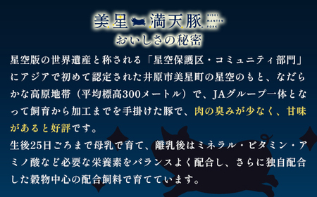美星満天豚 焼肉 1.0kgセット（豚肩ロース又は豚ロース、豚バラ、豚モモ）小分け真空パック