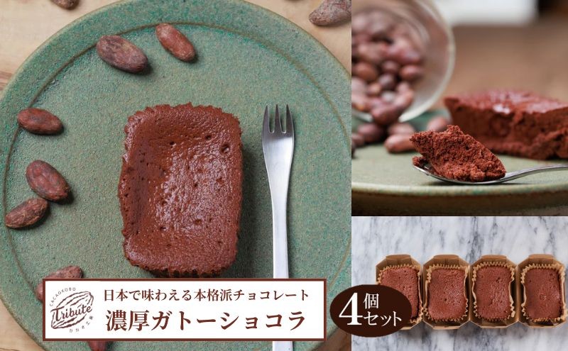 
            日本で味わえる本格派　濃厚ガトーショコラ4個入り
          