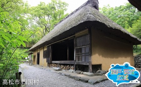 旅行券 レンタカーで巡る香川県 観光 旅行券【2日間】