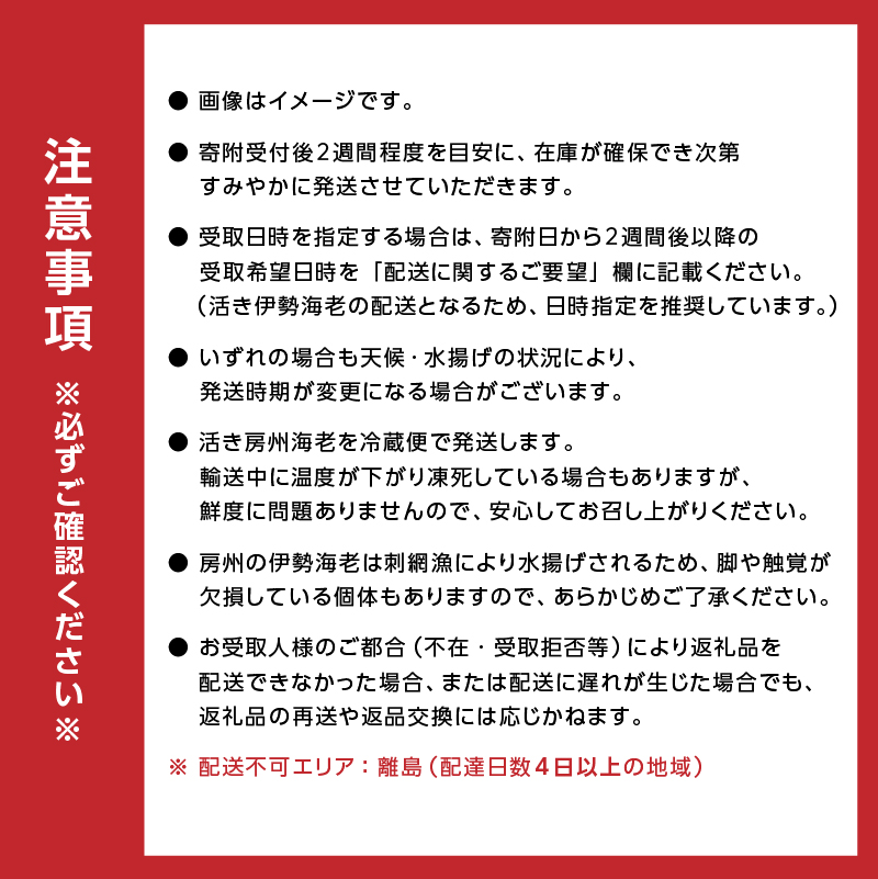 房州産大伊勢えび　約1kg えび 伊勢海老 国産 海産物 房州えび