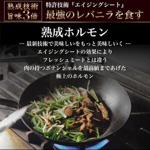 旬熟成　熟成タレ漬けホルモン 600g　【11100-2228】