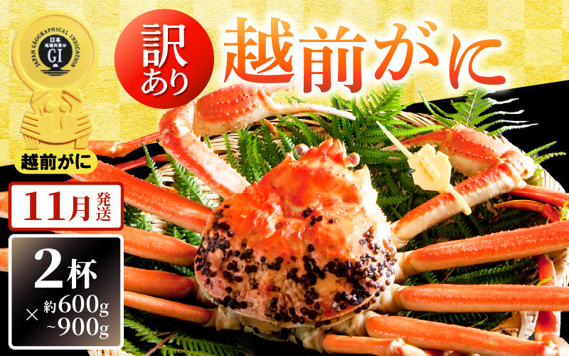 
            【訳あり】越前がに本場の越前町からお届け！ 越前がに 浜茹で600g～900g前後（※生重量） × 2杯 かにの食べ方しおり付き【かに カニ 蟹】【福井県 越前町 雄 ズワイガニ ボイル 冷蔵 越前ガニ 越前かに 越前カニ ずわいがに ずわい蟹 かに カニ 蟹】【11月発送分】希望日指定可 備考欄に希望日をご記入ください [e14-x004_11]
          