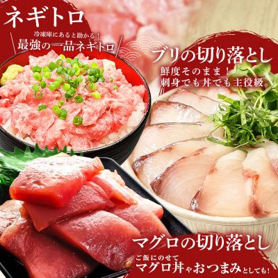ふるさと納税 田野町 厳選 海鮮5種詰め合わせセット |  | 02