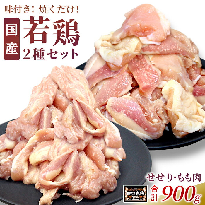 【ふるさと納税】田口塩鶏 国産 若鶏味付け肉 2種セット（せせり・もも肉）合計900g もも肉 500g せせり 400g 塩ダレ 味付け肉 鶏肉 鶏 肉 バーベキュー 味付け肉 大容量 焼くだけ 焼肉 焼き鳥 奥三河どり 10000円 10,000円 10000 -171