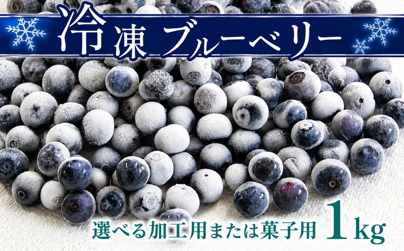 
                  冷凍 ブルーベリー ( 加工用 or 菓子用 ) ｜ 果物 くだもの フルーツ ブルーベリー 冷凍 加工用 菓子用 1kg 山口 美祢市 美祢 特産品 スムージー ジャム
                
