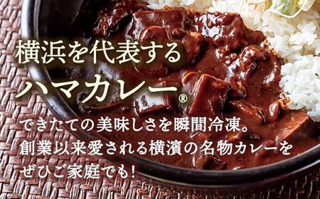 サンアロハ「ハマカレーR　ビーフ　6個パック」 AJE0001