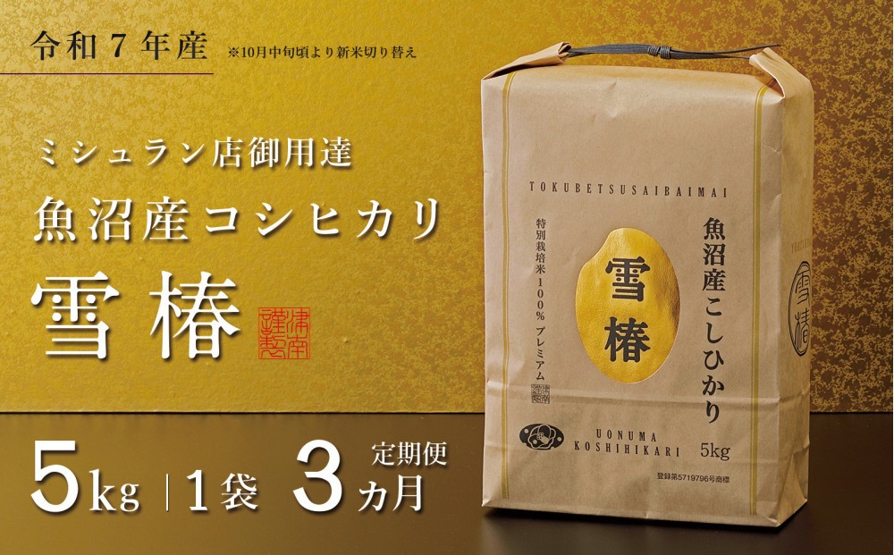 
                  【定期便 3ヶ月】【令和7年産】魚沼産コシヒカリ 雪椿 5kg(5kg×1袋) × 3回 特別栽培米
                