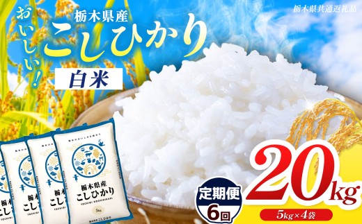 【栃木県共通返礼品】【先行予約】【令和8年度産】【定期6回】 訳あり 栃木県産コシヒカリ 20kg |定期便 選べる ふるさと 納税 コシヒカリ お米 精米 白米 玄米 大粒 共通返礼品 送料無料 那珂川町 栃木県