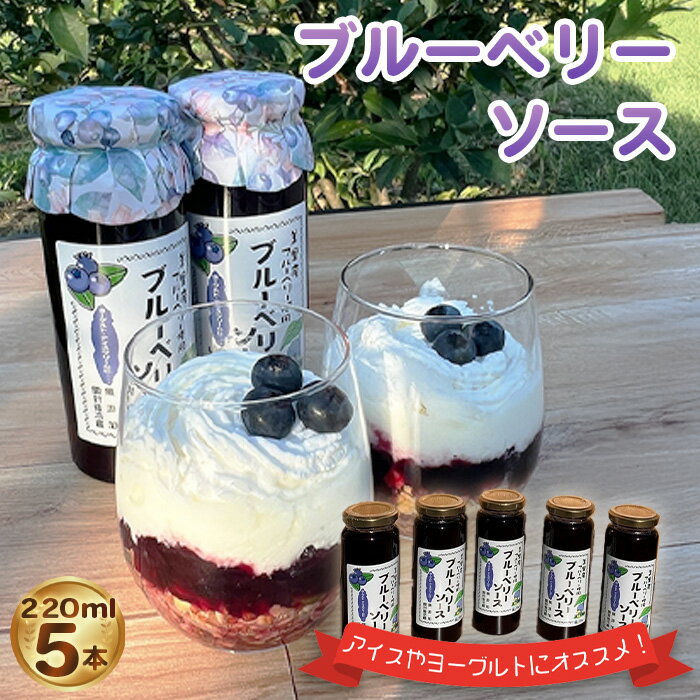 【ふるさと納税】 ブルーベリーソース（220ml）5本セット ／ 果実 フルーツ ティフブルー 送料無料 埼玉県 No.229