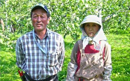 青森県産 果汁100% 完熟りんご ジュース（1000ml瓶×3本） 【誠果園】 青森りんご フルーツ王国 青森 県産 南部町 ストレート 生ジュース 1L 1l 林檎 リンゴ アップルジュース 無添
