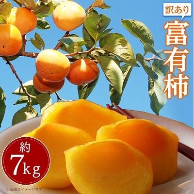 ふるさと納税 高松市 【先行受付2025年】【感謝企画5000セット】訳あり　富有柿　約7kg