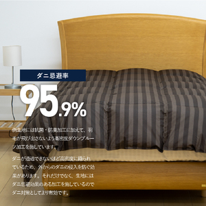  【ダニ忌避率95.9%】さらっと薄手タイプの羽毛布団　ディープブラウン（シングル） 羽毛布団 寝具 肌布団 肌掛け布団 掛けふとん 布団 掛布団 シングル布団 ふとん  羽毛布団
