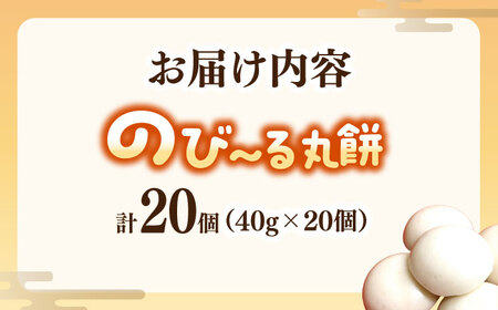 【手作りつきたて急速冷凍】佐賀県産もち米100%自慢の杵つき丸白餅(冷凍)計20個入 / 佐賀県 / 山代ガス株式会社 旬菜舎[41AABM022]