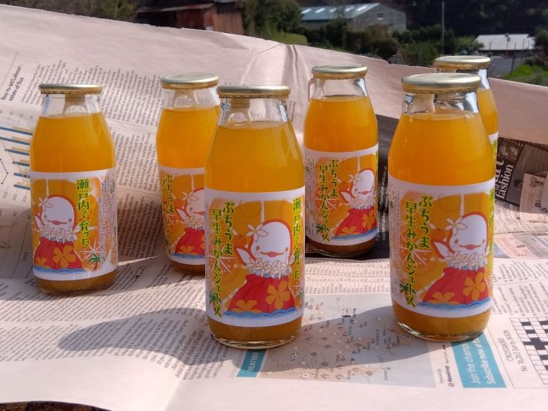 
                  みかんジュース １８０ml　４０本入り
                