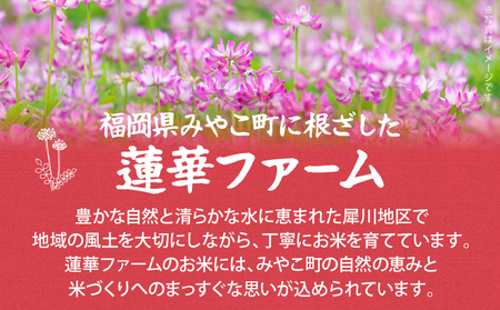 米 5kg 夢つくし 【10/1～寄附額改定】数量限定 こだわりの蓮華米 精米 農家直送 蓮華米 白米 国産米 国産 おにぎり お弁当 福岡県 福岡 九州 グルメ お取り寄せ【9月下旬より順次出荷予定