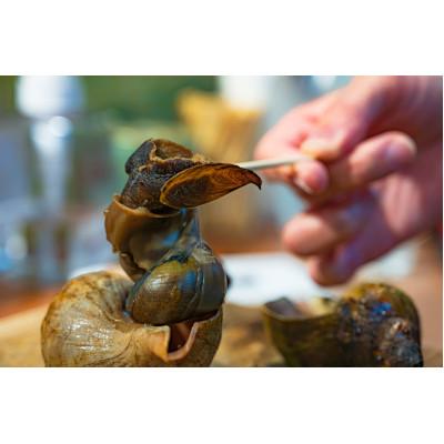 ふるさと納税 稚内市 【つぶ煮】料亭青つぶ 高級利尻昆布醤油使用 あぶら除去済み 約1kg |  | 01