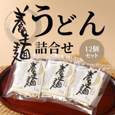 ふるさと納税 木城町 養生麺うどん詰合せ 12袋入り