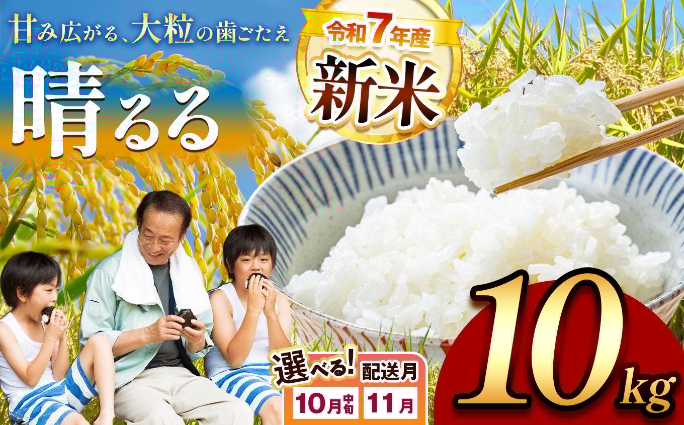 
            令和7年度産 新米 晴るる 白米 10kg 先行予約 ＜ 2025年10月中旬 ～ 11月 より順次発送予定 ＞ ｜ 精米 新米 白米 米 雑穀 お米 コメ 単一米 晴るる はるる  山口 美祢 秋吉台 10kg
          